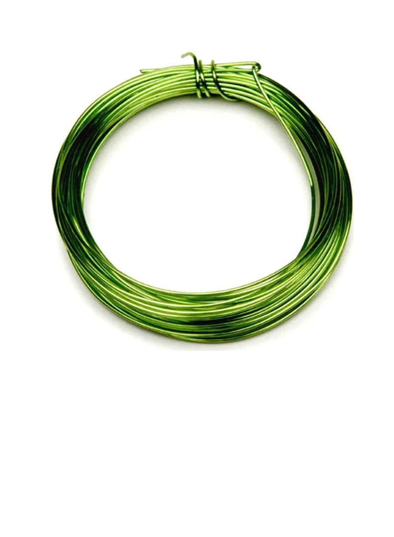 Silver Plated Copper Wire 20 Gauge Parrot Green 8 Yards - Image 3
