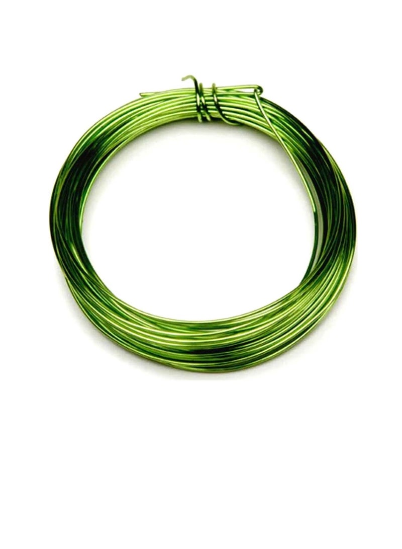 Silver Plated Copper Wire 20 Gauge Parrot Green 8 Yards - Image 1