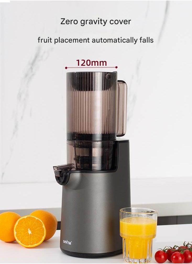 SAVTM - Slow Juicer 250W | 200ml Capacity | High-Performance Juicer | ABS + PC Material | 55 RPM | Continuous Operation for Up to 10 Minutes - Image 1