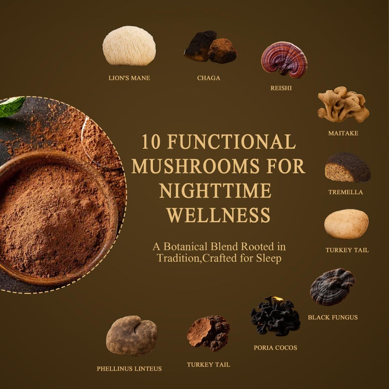 شوكولاتة ساخنة بالفطر، بديل القهوة للاسترخاء والهدوء، مسحوق الكاكاو | 10 أنواع من الفطر | فطر الأسد، ريشي، تشاجا، إل-ثيانين، مغنيسيوم جليسينات، إم سي تي، بروبيوتيك، وجابا | نباتي، كيتو، 8.5 أونصة - Image 4