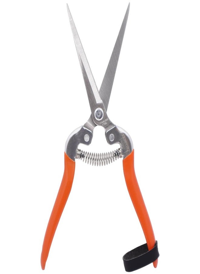 Zenport H312 Shear, Extra Long 3.25-Inch Stainless Steel, Serrated Blades - Image 1