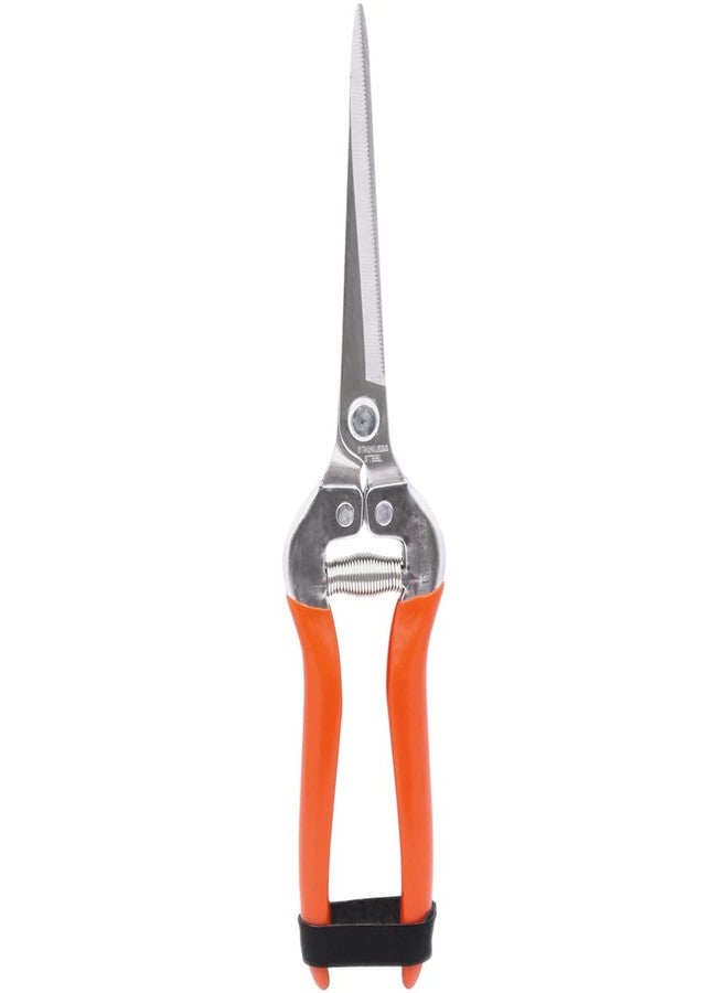 Zenport H312 Shear, Extra Long 3.25-Inch Stainless Steel, Serrated Blades - Image 2