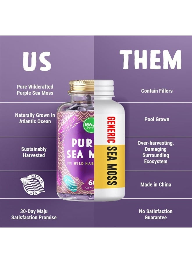 Maju Superfoods MAJU's Powerful Purple Sea Moss Capsules (60 ct), Extra-Strength Purple Minerals, Chondrus Crispus, Stronger Than Gel, Compare to Organic Irish Seamoss Capsule, Wild Harvested Powder Pills  - Image 5