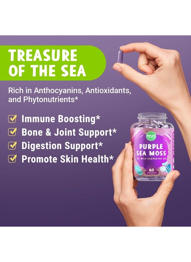 Maju Superfoods MAJU's Powerful Purple Sea Moss Capsules (60 ct), Extra-Strength Purple Minerals, Chondrus Crispus, Stronger Than Gel, Compare to Organic Irish Seamoss Capsule, Wild Harvested Powder Pills  - Image 3