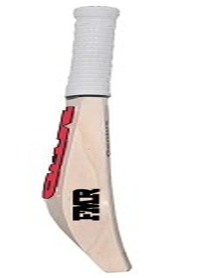TT Kashmir Willow Cricket Bat, Exclusive Cricket Bat for Adult Full Size with Full Protection bat Cover 15+ Years Old Kids. - Image 3