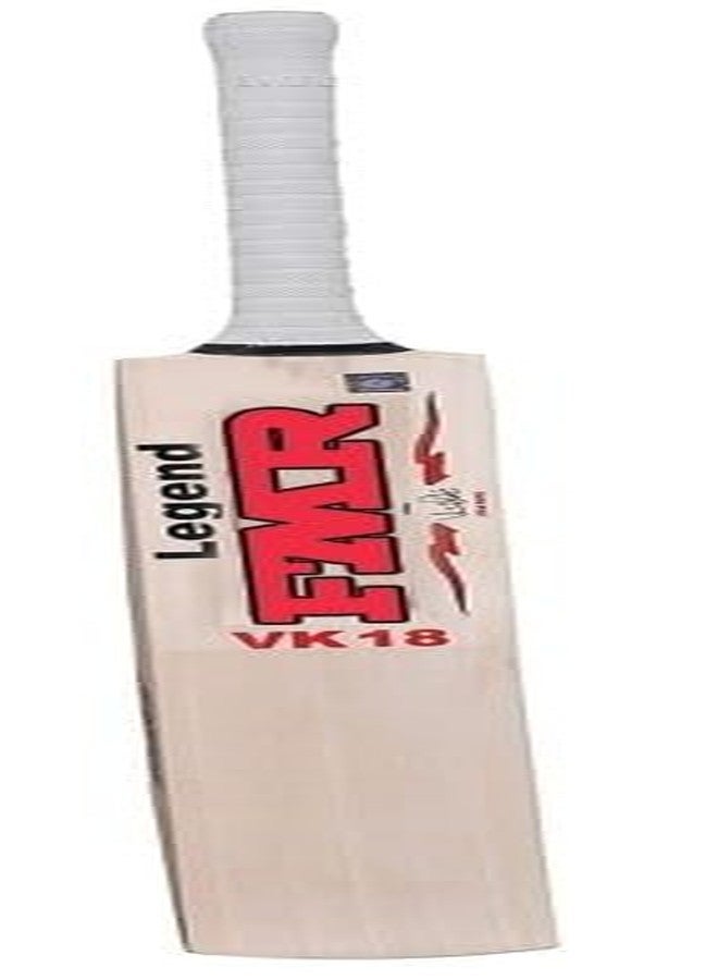 TT Kashmir Willow Cricket Bat, Exclusive Cricket Bat for Adult Full Size with Full Protection bat Cover 15+ Years Old Kids. - Image 2