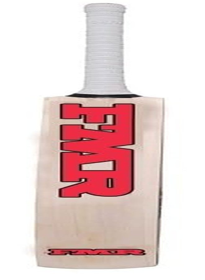 TT Kashmir Willow Cricket Bat, Exclusive Cricket Bat for Adult Full Size with Full Protection bat Cover 15+ Years Old Kids. - Image 4