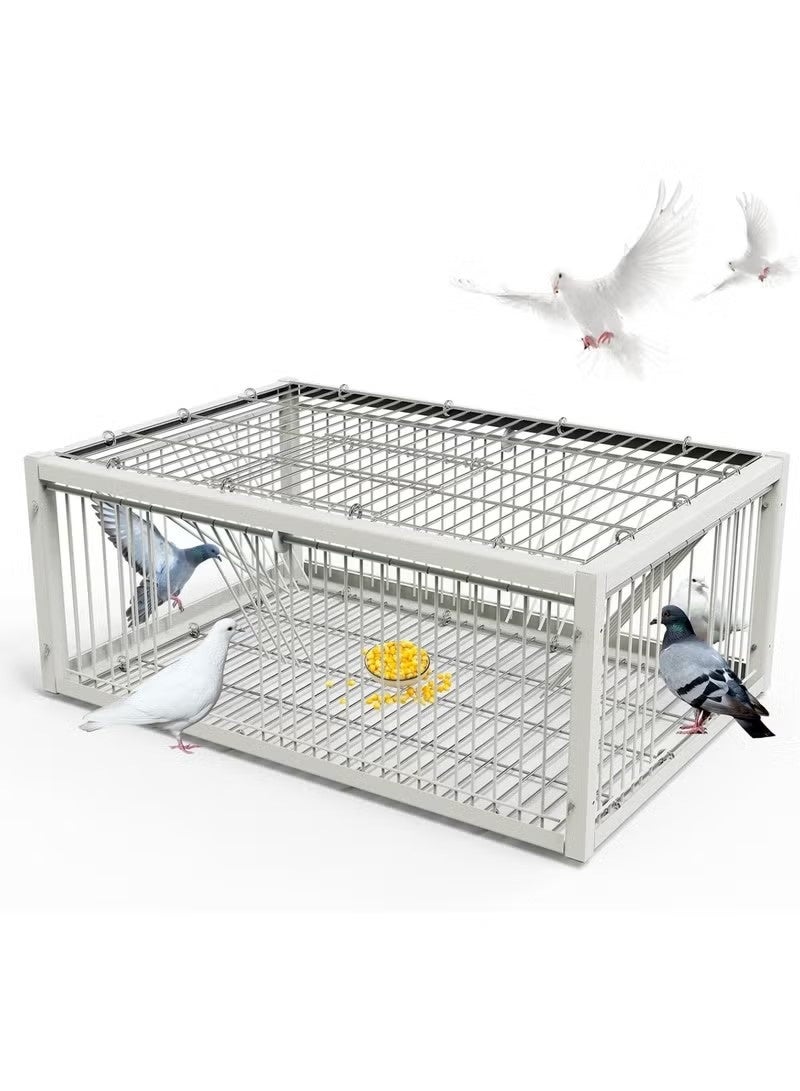 Generic420apple Pigeon cage with one-way entrance (4 doors), bird cage, automatic pigeon cage with escape prevention design, bird cage suitable for racing pigeons and parrots, for indoor and outdoor use, 60 x 60 x 26 cm - Image 1