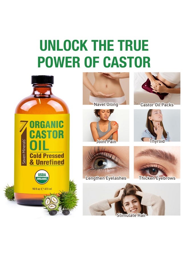 Seven Minerals - Seven Minerals New 16 fl oz Glass Bottle Castor Oil Organic Cold Pressed Unrefined Glass Bottle Pack - 100% Pure USDA Certified Organic Hexane Free - Image 1