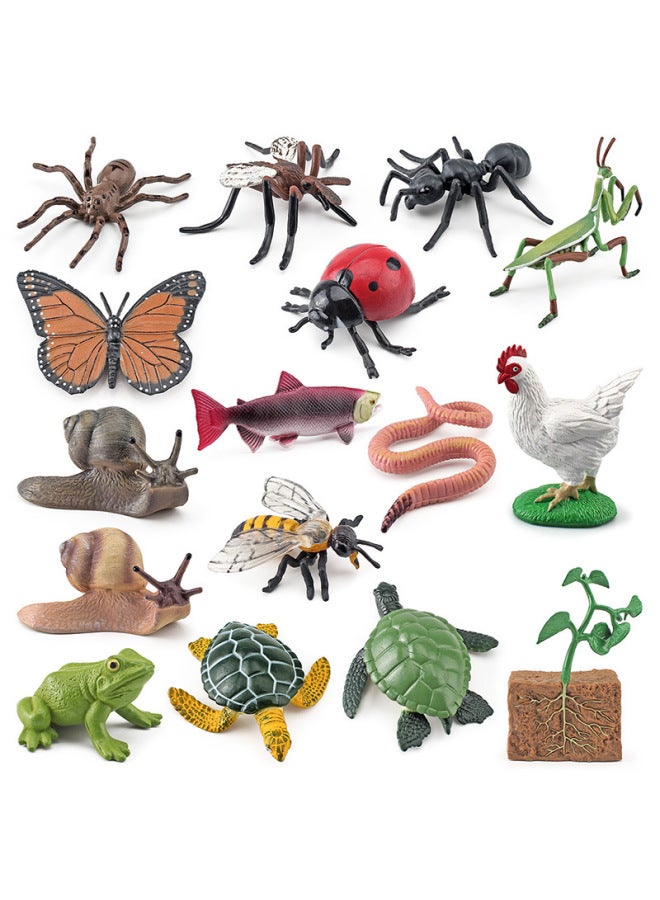 Realistic Small Animal Model Toys Growth Life Cycle Frogs Turtles Chicks Montessori Nursery Teaching Tools-Color:PL127-3407 Brown Bear Cycle Set 140g - Image 4