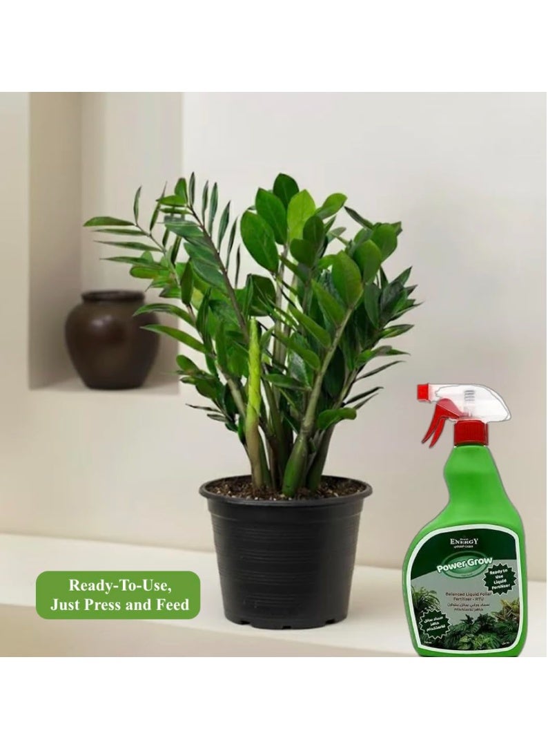 Desert Energy, Power Grow, balanced liquid foliar fertilizer spray, 750ml. Ready to use. - Image 3
