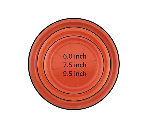 SHOPATHON INDIA Round Bottom Side Edge Plastic Base Plate/Tray/Saucer/Dip Tray for 9.5 Inch Base Diameter Flower Pot Planter - Set of 6 Brown Colour Plates - Image 5