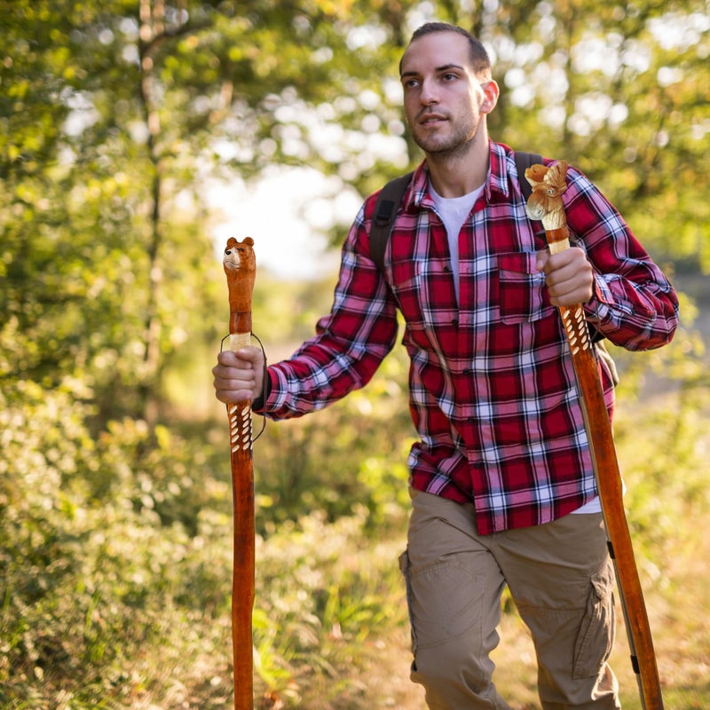 BODYTREE Carved Walking Stick - Lightweight and Strong Wooden Treckking Pole & Cane for Men Women & Seniors - A Hiking Gear Sculpted in Wood (Bear) - Image 2