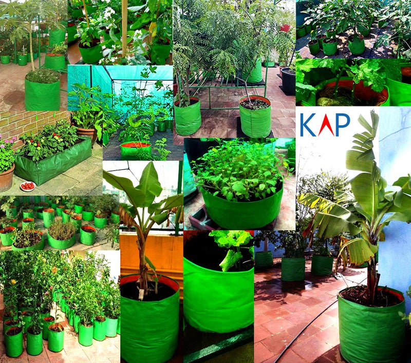 KAP Grow Bags for Kitchen, Balcony and Terrace Gardens (24" X 9" X10") Pack of 4 - Image 5