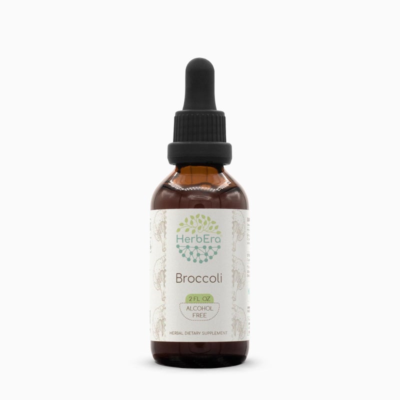 HerbEra Broccoli B60 AlcoholFree Herbal Extract Tincture Concentrated Liquid Drops Natural Broccoli Bao Zi Gan LAN Brassica Oleracea 2 fl oz