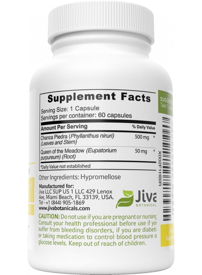 Jiva Botanicals - Chanca Piedra Cleanse Supplement - Organic Chanca Piedra Capsules for Kidney & Liver Support - Chanca Piedra 500mg Extract Herb and 50mg Queen Of The Meadow - 60 Capsules