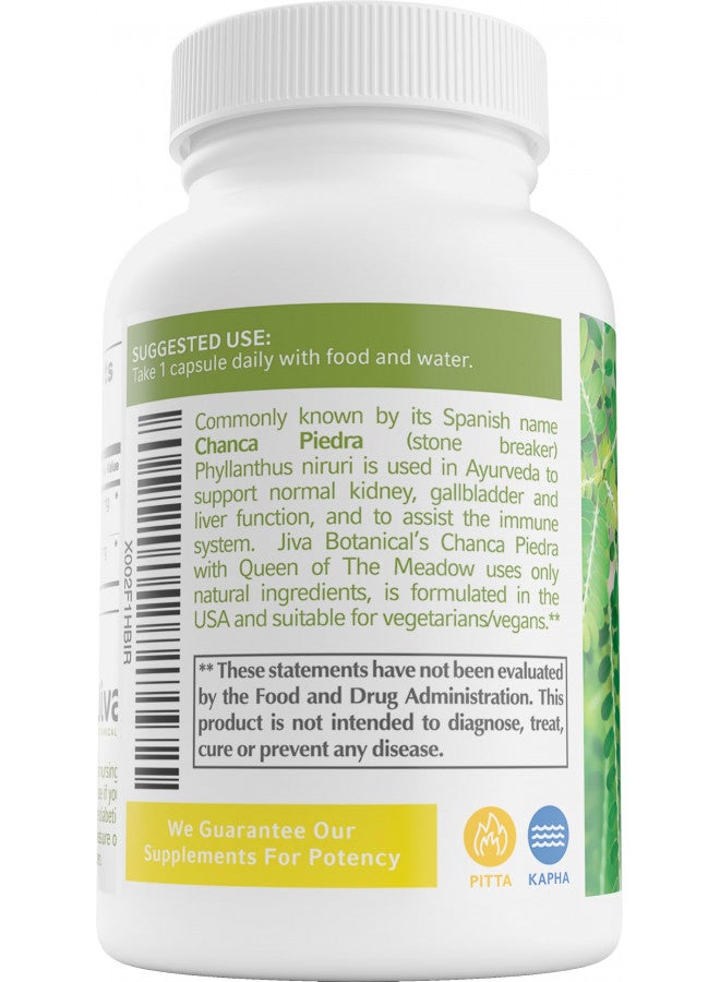 Jiva Botanicals - Chanca Piedra Cleanse Supplement - Organic Chanca Piedra Capsules for Kidney & Liver Support - Chanca Piedra 500mg Extract Herb and 50mg Queen Of The Meadow - 60 Capsules