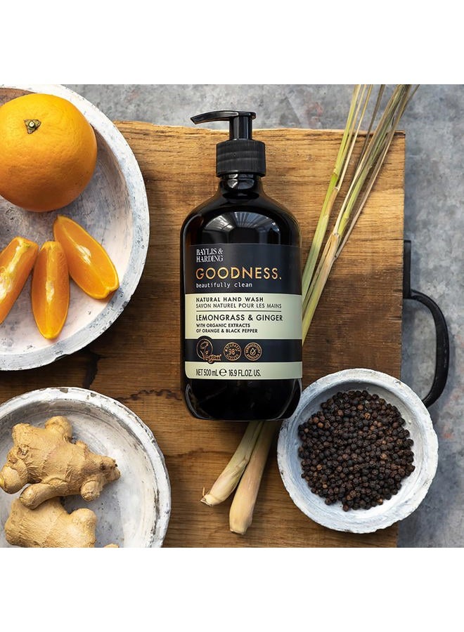Baylis & Harding غسول يدين بالليمون والزنجبيل من غودنس، 500 مل (عبوة واحدة) | تركيبة طبيعية مع مستخلصات عضوية وزيوت أساسية | فاخر ومنعش | خالي من البارابين | نباتي - Image 3