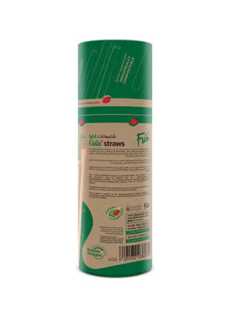 Fun - Gaia Eco Friendly Disposable Straw 50 Pcs - Image 1