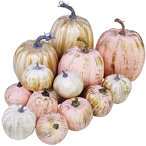 Winlyn 14 pcs Assorted Artificial Gold Brushed White and Pink Pumpkins Rustic Decorative Pumpkins Foam Pumpkins for Farmhouse Fall Table Centerpiece Rustic Fall Wedding Decor Baby Shower