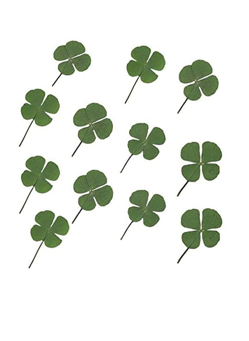 SYOSI 12 Pcs Dried Flowers Natural Dried Plants Dry Leaves Pressed Shamrock Four-Leaf Dried Leaves for DIY Resin Jewelry Making Art Craft Assorted Candle Decorations Pendant Necklace  - Image 1