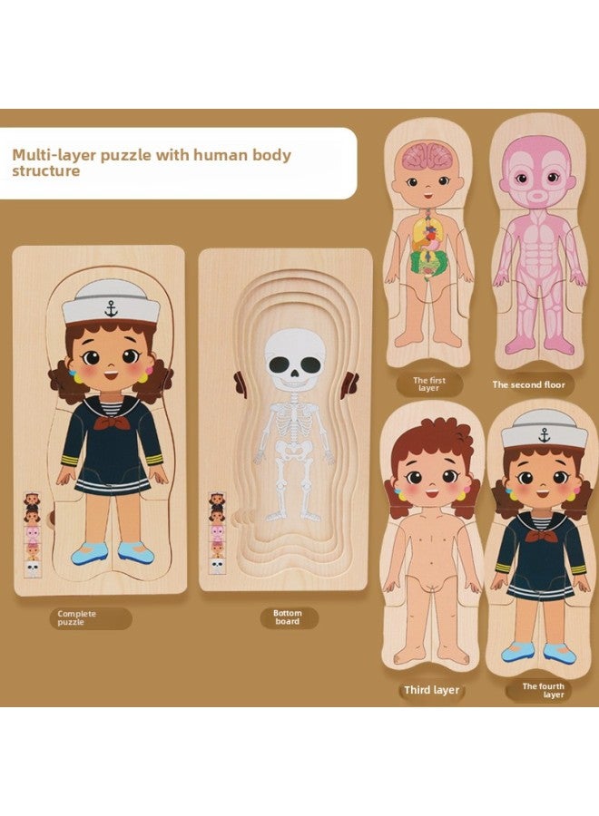 هيكل الجسم متعدد الطبقات منشار الصور المقطوعة منشار الصور المقطوعة للأولاد والبنات ألعاب تعليمية خشبية تعليمية - اللون: هيكل بشري متعدد الطبقات - MZM - Image 1
