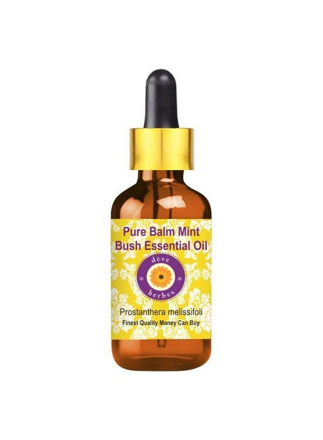 Deve Herbes Pure Balm Mint Bush Essential Oil (Prostanthera Melissifoli) With Glass Dropper Steam Distilled 15Ml - Image 1