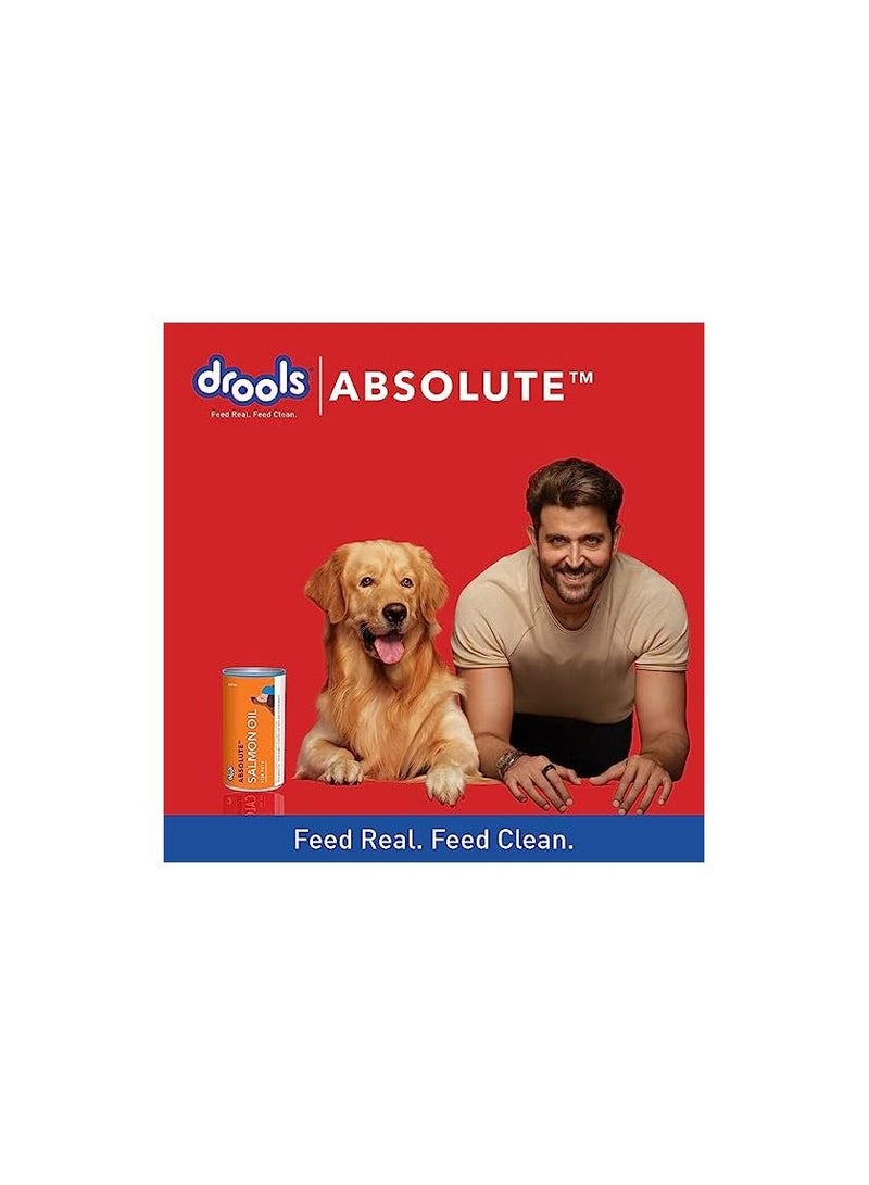 Drools Salmon Oil Syrup For Dog Supplement 300 ml - Image 5