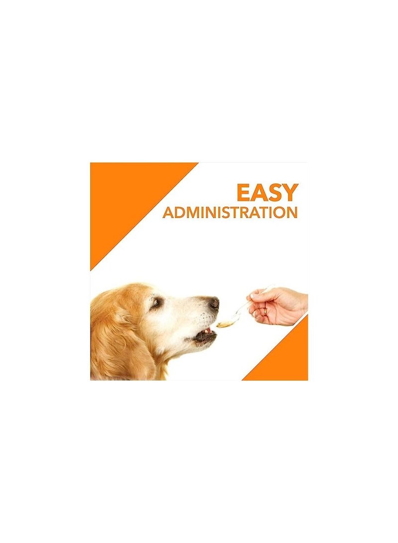 Drools Salmon Oil Syrup For Dog Supplement 300 ml - Image 3