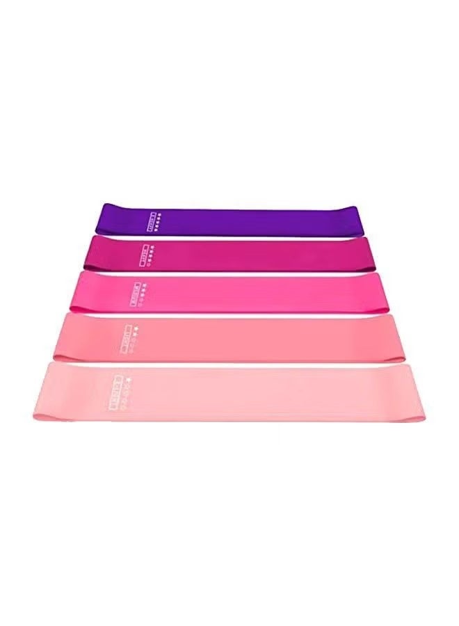 JOGAMS 5Pcs Resistance Loop Exercise Bands with Carry Bag Set 12x2 Inch - Image 1