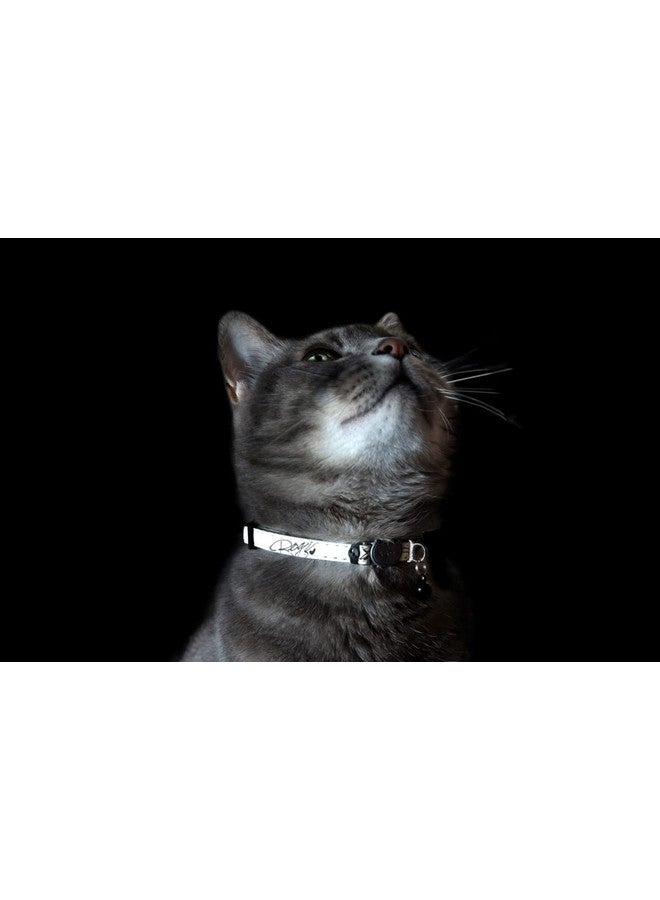 Rogz Glow In The Dark Reflective Cat Collar With Breakaway Clip And Removable Bell, Fully Adjustable To Fit Most Breeds, Jumping Black Cat Design - Image 2