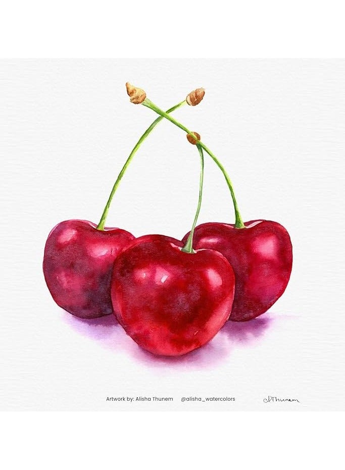 Lukas Aquarell 1862 Watercolor Paint Half Pans - Set of 24 - Image 2