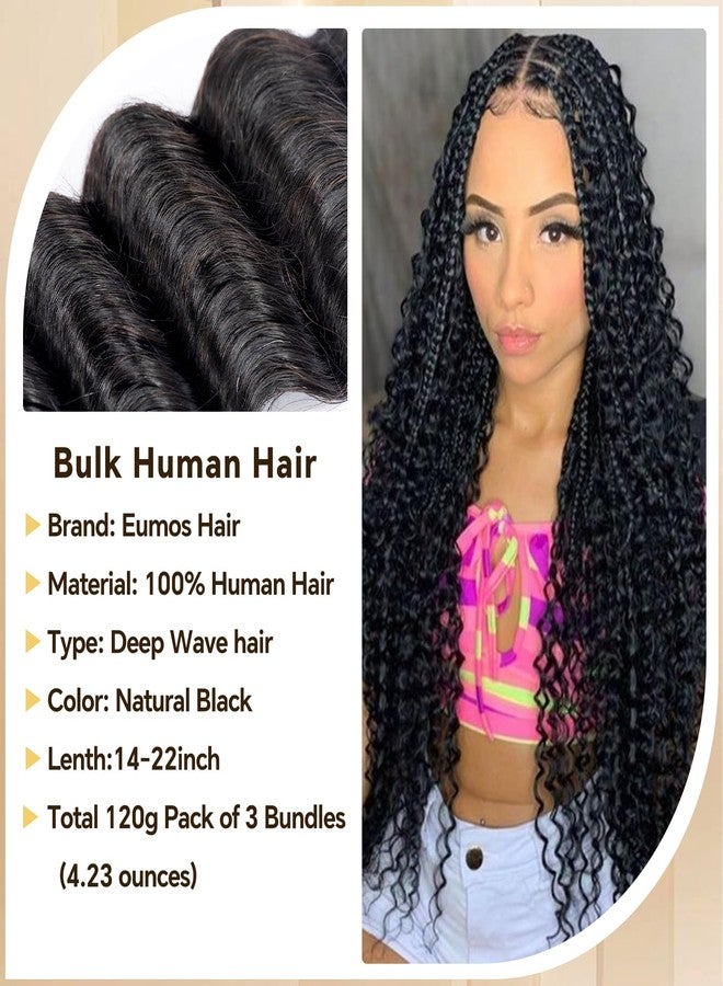 Eumos Human Braiding Hair for Boho Braids 120g 3 Bundles/Pack 18 Inch Deep Wave Bundles Human Hair Curly Boho Hair for Braiding 12A Bulk Braiding Hair Wet and Wavy Natural color - Image 3