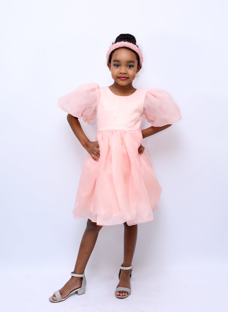 دىدانيالا فستان بأكمام منفوشة من الأورجانزا - Image 1