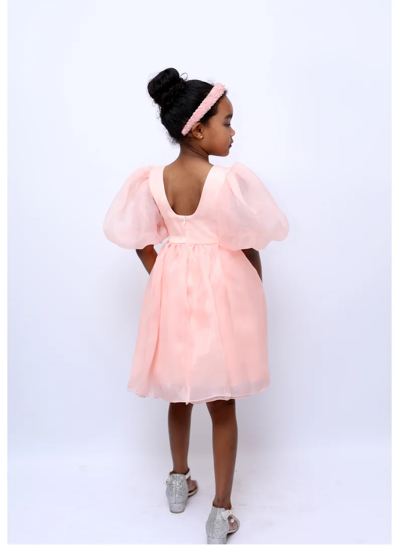 D'Daniela Organza Puff Sleeve Dress