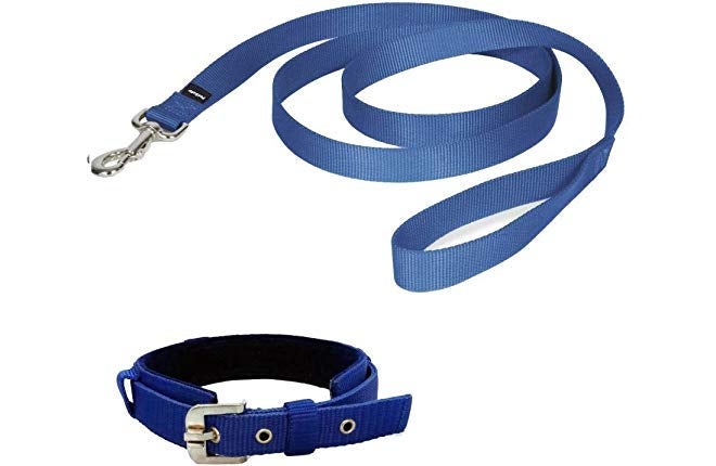 Skora Nylon Leash with Collar Set for Dog (Medium) - Blue - Image 1