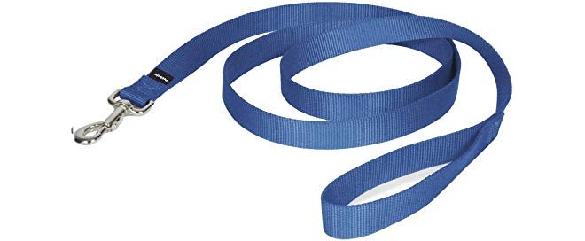 Skora Nylon Leash with Collar Set for Dog (Medium) - Blue - Image 2