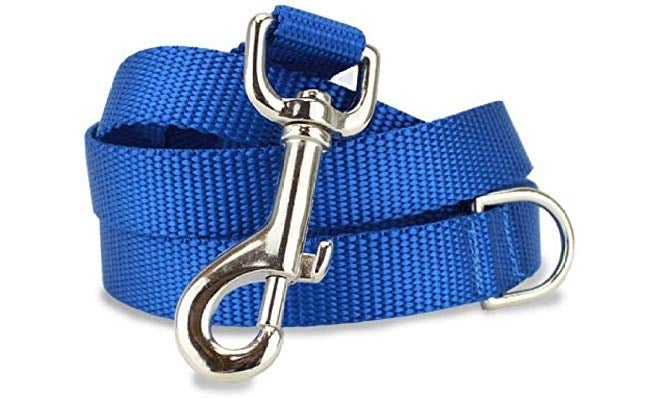 Skora Nylon Leash with Collar Set for Dog (Medium) - Blue - Image 3