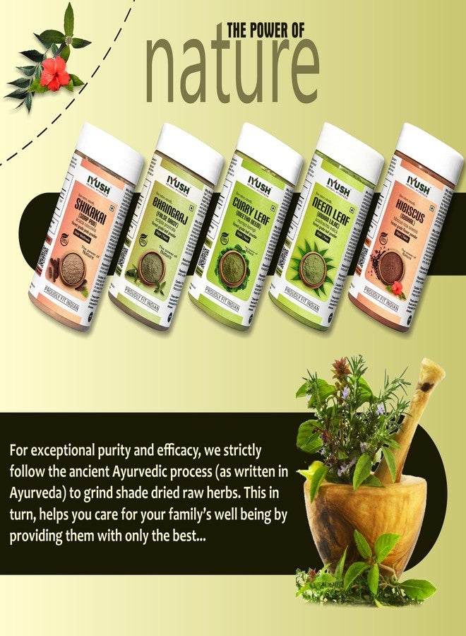 IYUSH Herbal Ayurveda Bhringraj Shikakai مسحوق الكاري النيم والكركديه - 100 جم لكل منهما - Image 5
