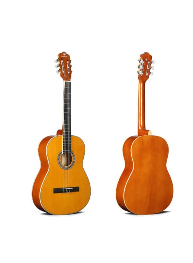 يونيستار L-310-N كلاسيك جيتار مقاس كامل