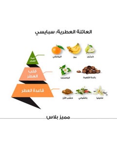 الماجد للعود عطر مميز بلس الكلاسيكي  - Image 2