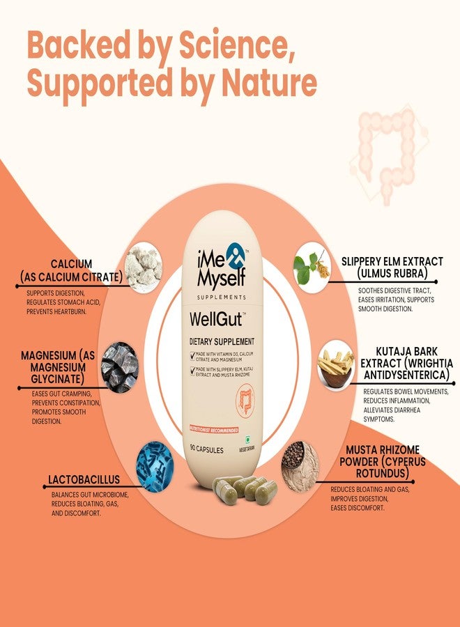 iMeMyself WellGut Complete Daily Digestive Formula | Traditional Herbs with Minerals & Probiotics 90 Vegan Capsules - Image 5