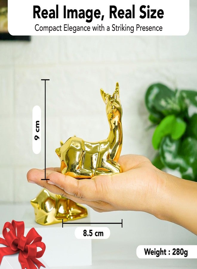 إخاصة تماثيل غزلان إيخاسا نوستراي لتزيين المنزل وغرفة المعيشة | قطع ديكور مميزة | تماثيل وتحف فنية رائعة لتزيين المنزل | تماثيل وتحف فنية للطاولة المركزية أو رف التلفزيون أو المكتب - Image 3