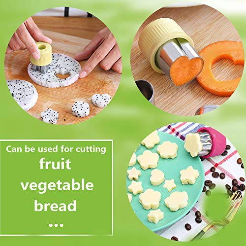 LAXIZAR Cutter Shapes Set Different Sizes Cookie Cutters Set Fruit Cookie Pastry Stamps Mold - Image 2
