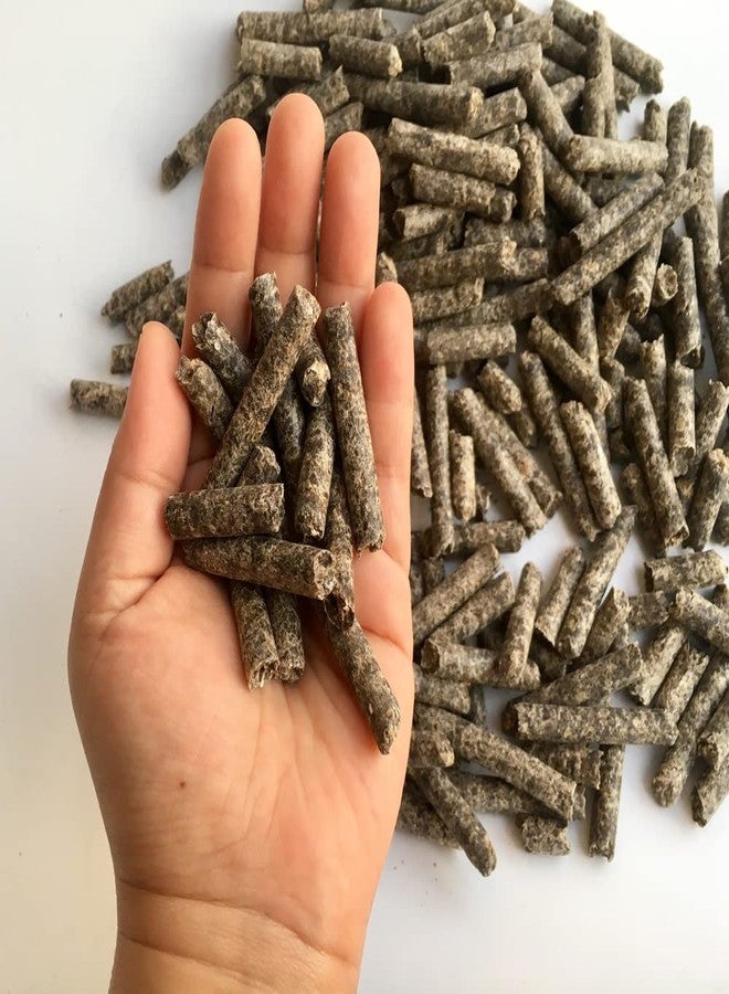 CZ Grain Smart Beet Pellets for Feeding - Horse, Pony, Goat, Cattle Feed - Good for Brain Health and Natural Sweetener (5 Pounds) - Image 1