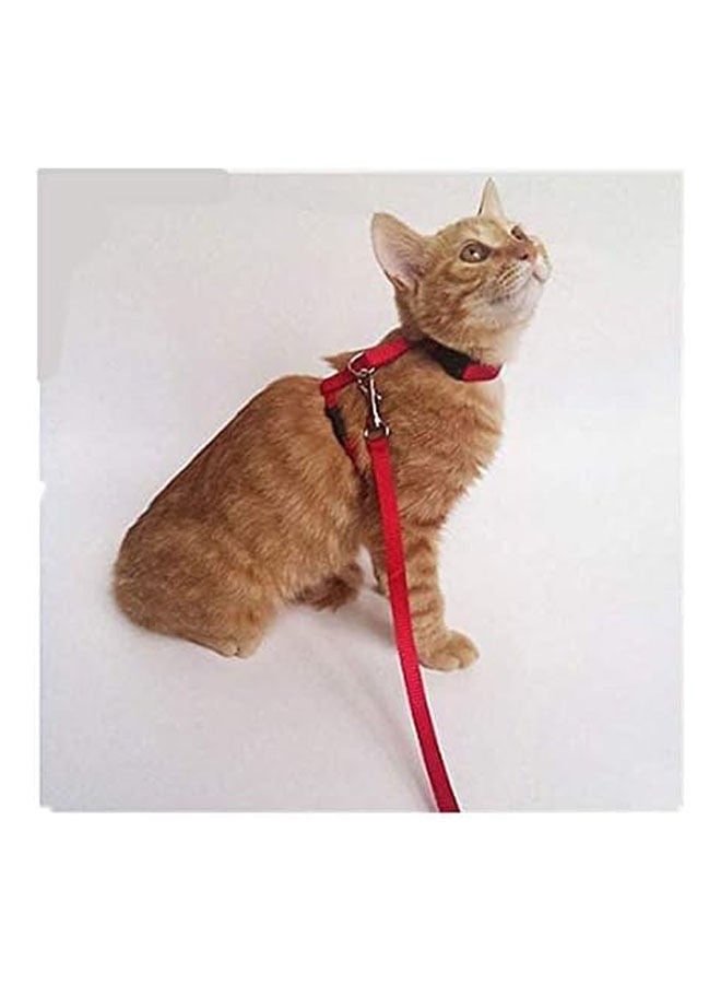 Golden Arrows Cats Lead Leash Harness Walking Chest Strap - 48 Grams - Image 3
