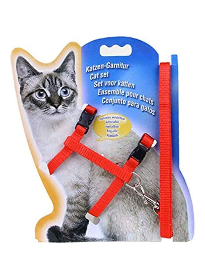 Golden Arrows Cats Lead Leash Harness Walking Chest Strap - 48 Grams - Image 1