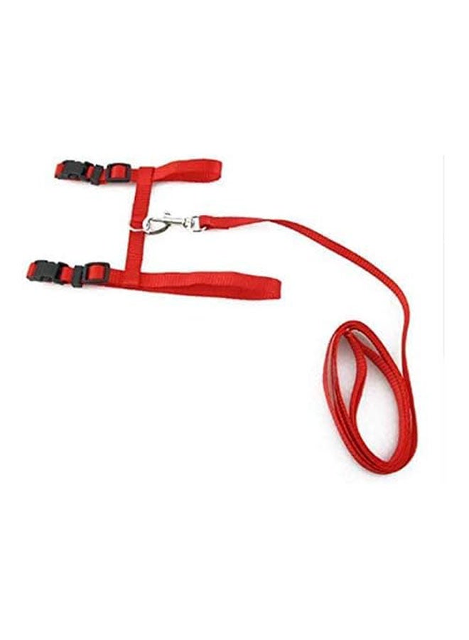 Golden Arrows Cats Lead Leash Harness Walking Chest Strap - 48 Grams - Image 2