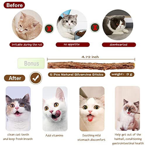 Plant Castle Natural Wood Cat Wand Toy with Ribbon Fish Teaser - 3pcs, 16 Inch, Indoor Cat Exerciser & Playing Kitten Toy, Bonus 5pcs Catnip Sticks for Teeth Cleaning - Image 3