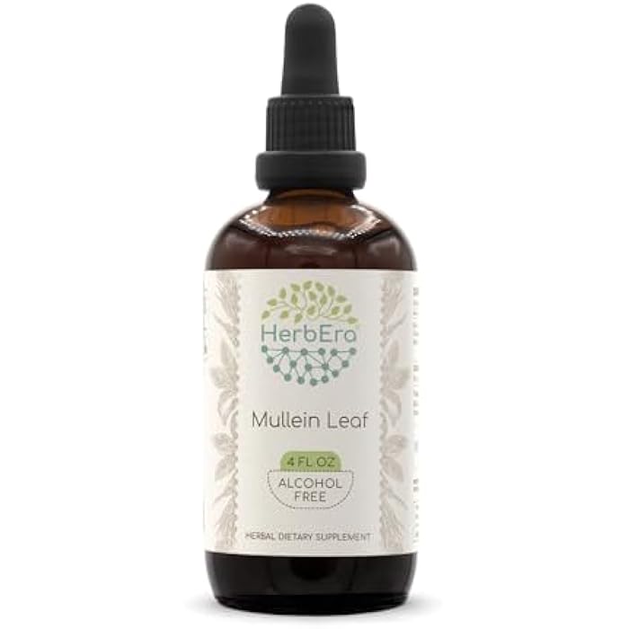 HerbEra Mullein Leaf B120 Alcohol-Free Herbal Extract Tincture, Super-Concentrated Mullein (Verbascum thapsus) Dried Leaf (4 fl oz) - Image 1